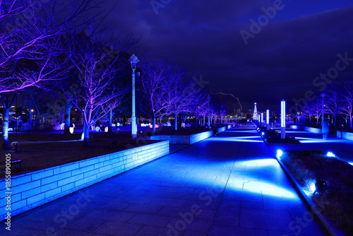 メリケンパークのクリスマスの夜　神戸市中央区神戸港にて