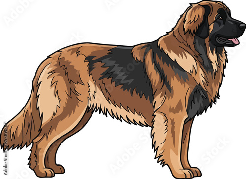 Leonberger dog standing side profile  view looking away 