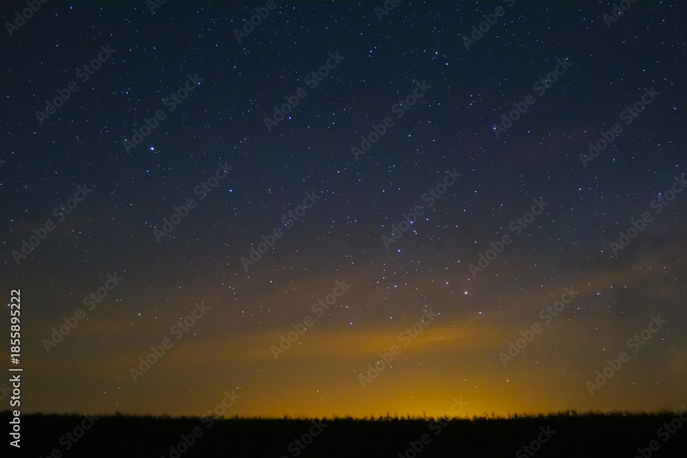 Fototapeta premium night starry sky above the forest silhouette