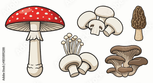 vector illustration of a mushroom
