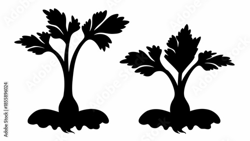 Two black silhouettes of leafy celery or parsley-like plants with prominent root structures on a white background.