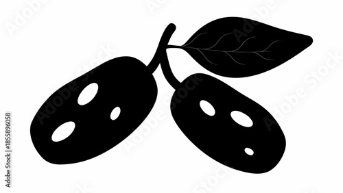 Two black olive-like fruits, each with distinctive white spots, are shown attached to a single leafy stem against a white background.