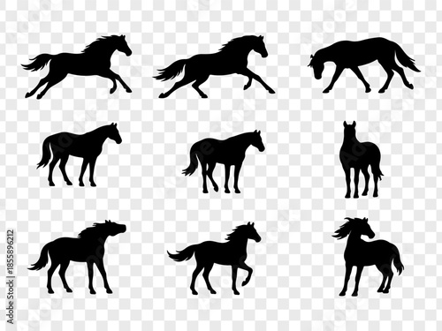 Minimalist vector illustration featuring a large collection of black horse silhouettes in diverse poses, including standing, walking, resting, and mare-with-foal scenes. Clean solid shapes with smooth