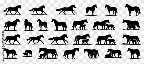Minimalist vector illustration featuring a large collection of black horse silhouettes in diverse poses, including standing, walking, resting, and mare-with-foal scenes. Clean solid shapes with smooth