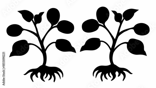 Two black silhouettes of young plants with rounded leaves and visible roots against a plain white background.