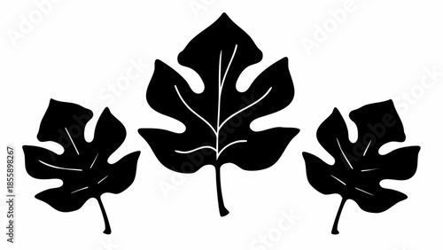 A set of three black leaf silhouettes, featuring one large central leaf with visible veins and two smaller identical leaves, is isolated on a white background.