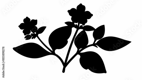 A black silhouette of a flowering plant with multiple stems and leaves is depicted on a white background.