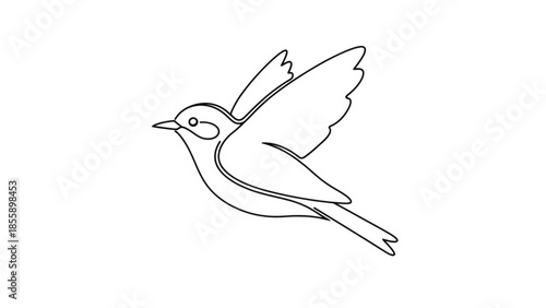 Bird in flight, minimalist line drawing of a flying bird with outstretched wings and simple facial