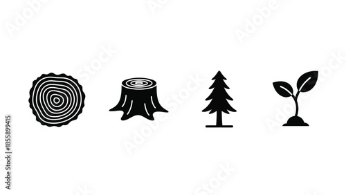 Growth and renewal symbolized by tree cross-section, stump, pine tree, and seedling
