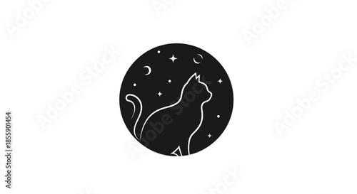 Silhouette of a Cat Gazing at the Night Sky with Stars.
