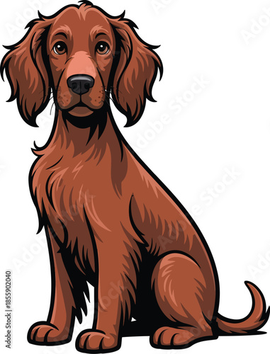  Cute cartoon a illustrator vector Irish Setter