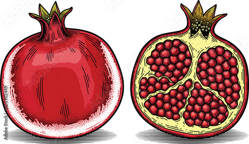 Hand drawn vintage pomegranate fruit set with whole and cross section half showing red seeds for healthy food and organic botanical design