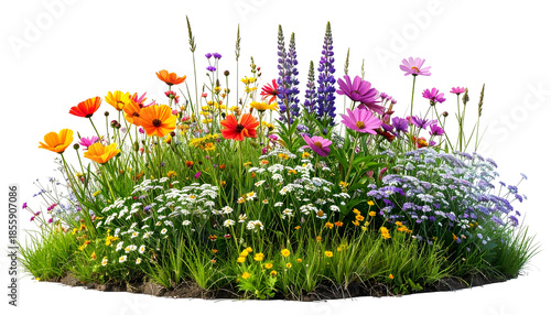 Colorful, lush flower bed with many different species against a transparent background