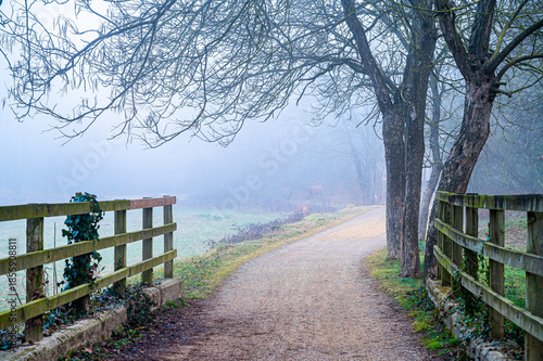Bycicle trail on the misty morning