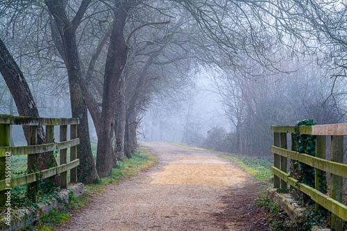 Footpath on the misty morning