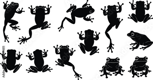 Black frog silhouettes in various poses and angles, jumping, sitting, crawling, top view, side view, vector animal illustration