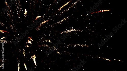 Colorful fireworks up on Black sky