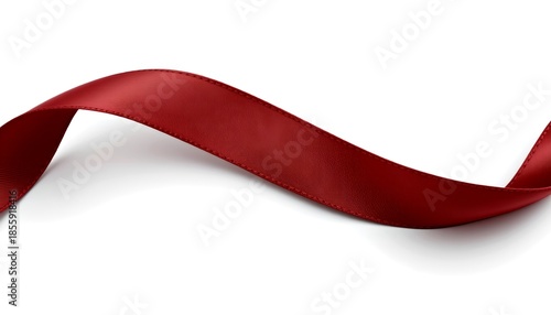 Elegant Ribbon Artisanship for Creative Design Projects