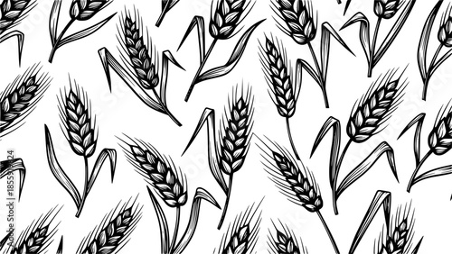 Wheat grain background pattern vector with hand drawn cereal stalks and ears in vintage engraving style sketch line art drawing and doodle for rustic bread packaging, bakery branding and organic food 