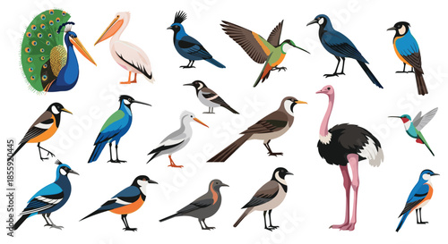 Big collection of various bird species from around the world including a peacock pelican ostrich and many other birds.