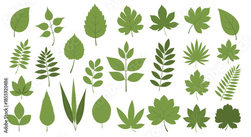 Large collection of various green tree and plant leaves in a simple flat design style isolated on a white background.