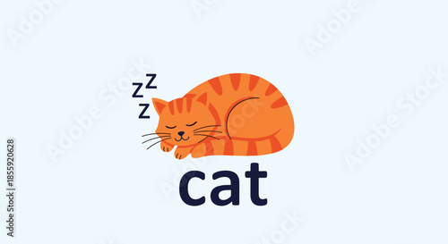 A simple and cute educational illustration of a sleeping orange tabby cat with the word cat written below it for young children.
