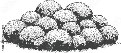 Dense Shrubbery Hand Drawn Vector Illustration Black and White Engraving Texture
