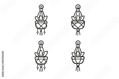 Four macrame plant hangers with potted plants