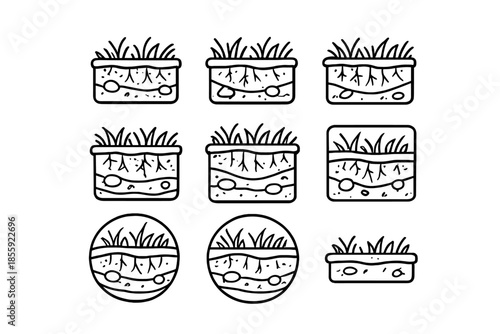 Cross-section of soil with grass and roots in various shapes