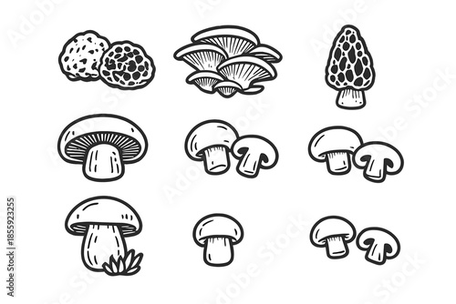 Mushroom Variety Icon Set