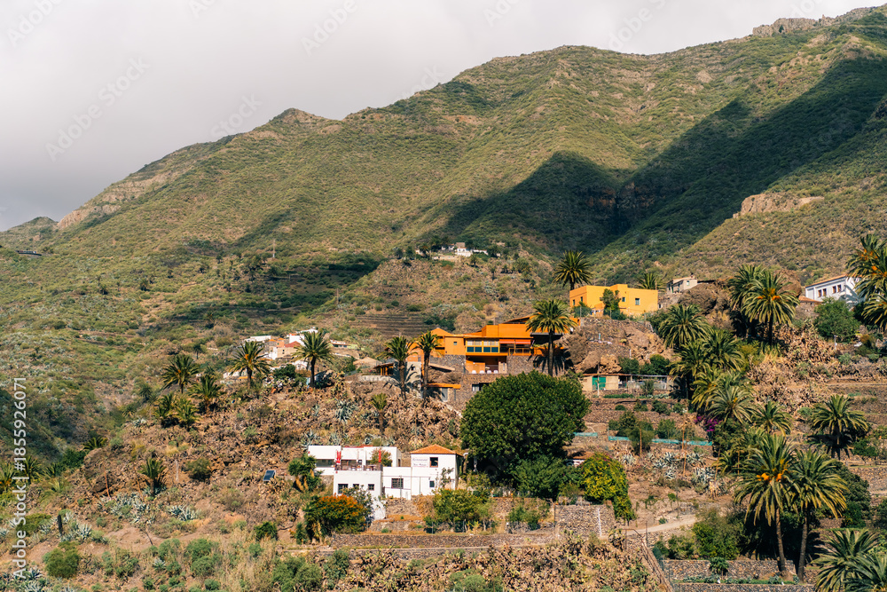 Fototapeta premium Masca, Tenerife Island, Spain - nov 1 2025 The steep hillside walkway to the village of Masca