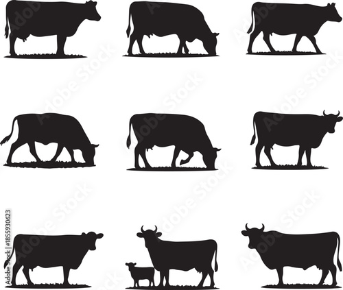 Silhouettes of Cows and Bull Figures in Various Poses for Design and Illustration