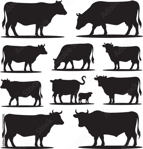 Silhouette of various cattle and cows in different poses on white background