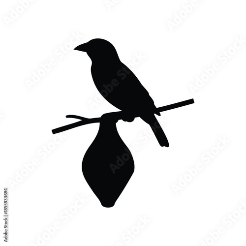 Weaver bird with branch and nest silhouette vector flat illustration design.