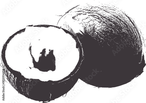 Black and white ink brush of whole and halved coconut