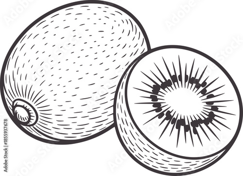 Black and white line of whole and halved kiwi fruit