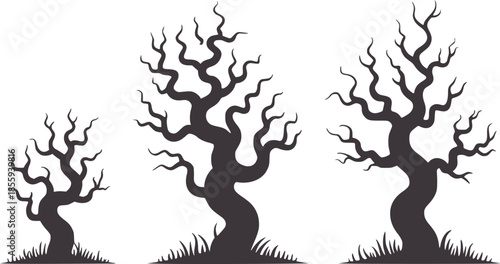 Three twisted barren tree silhouettes white trees branches