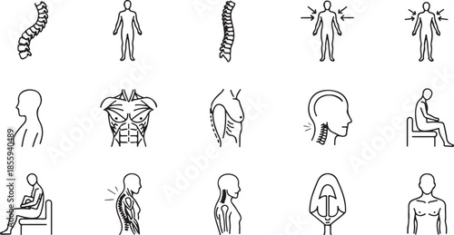 Set of Human Anatomy Line Featuring Spinal Column Variations Muscular Torso Profiles and Figures in Different Poses and Postures