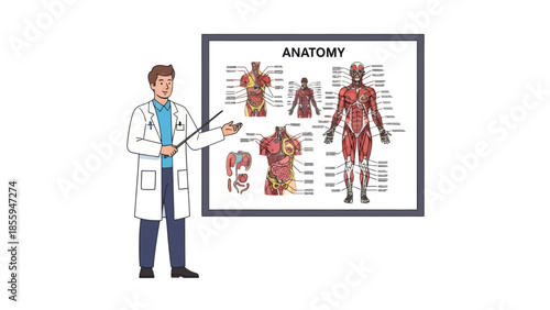 Medical professional explaining human body anatomy with detailed diagram