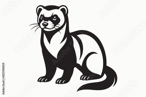 vector illustration of Ferret
