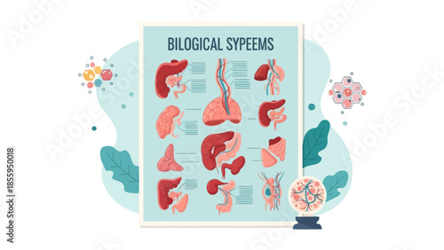 Educational infographic illustrating various biological syreems of the human body showcasing