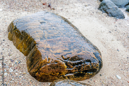 Close Up of Wet Textured Boulder on Sandy Beach