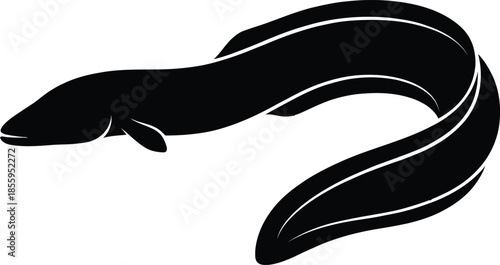 Eel Silhouette Vector Illustration on White Background