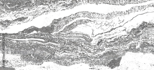 Vintage abstract rock strata pattern with organic wave lines textured. sandstone sedimentary rock formation natural earth strata background.