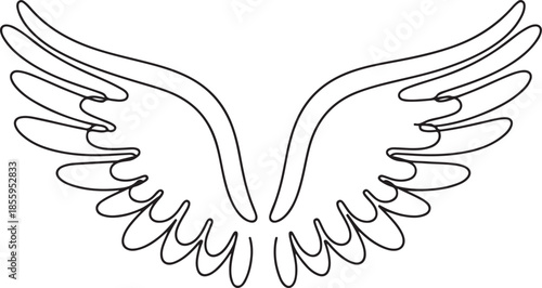 Set of black and white angel or bird wings with feathers, a design element for tattoo, logo, or mascot
