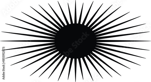 Sea Urchin Silhouette Vector Illustration on White Background