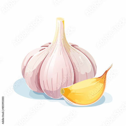 Illustration of a whole garlic bulb and a single clove, with a watercolor style.
