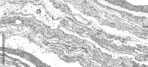 Vintage abstract rock strata pattern with organic wave lines textured. sandstone sedimentary rock formation natural earth strata background.