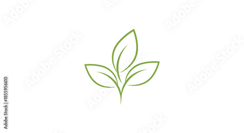 Minimalist outline drawing of three green leaves joined at the stem representing nature spring and environmental health.