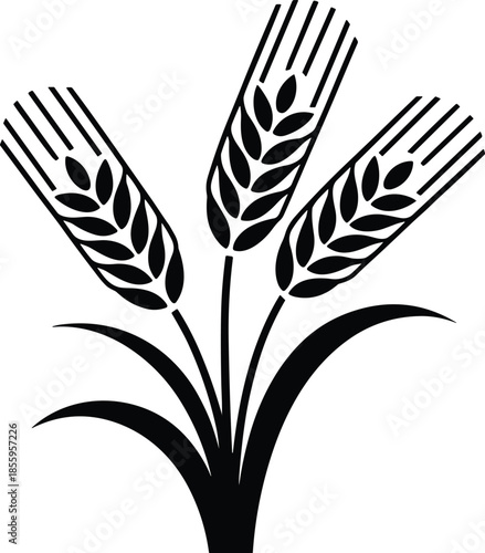 Simplified Black and White Silhouette Illustration of a Wheat Bundle with Three Stalks and Leaves for Agricultural and Organic Branding.
